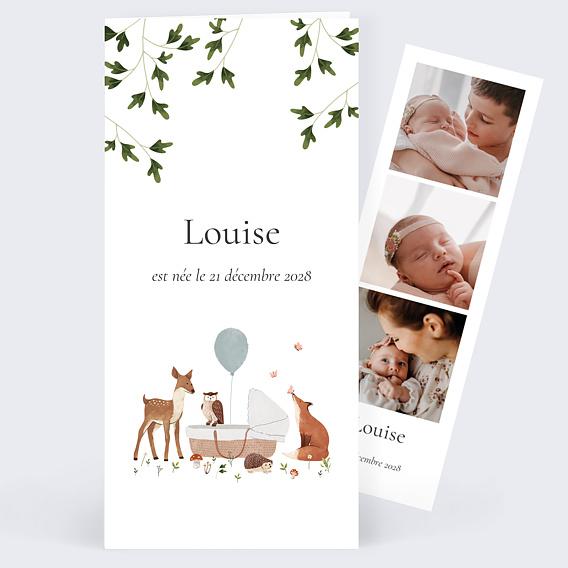 Faire part naissance Forêt Enchantée