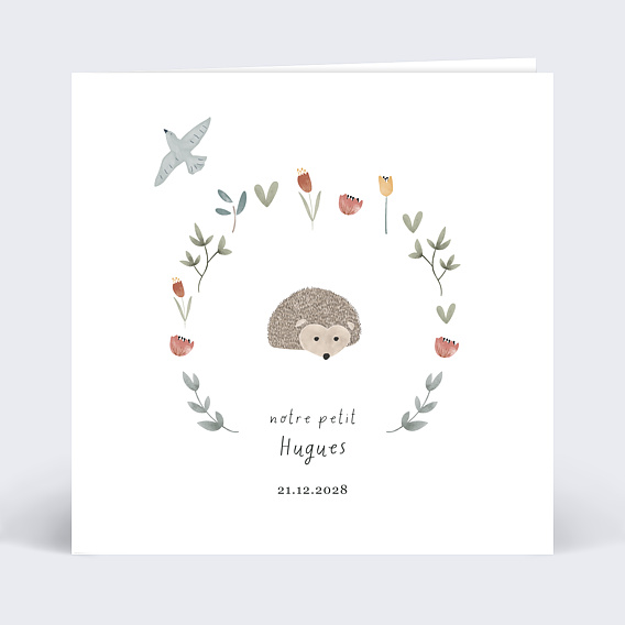 Faire part naissance Hérisson Recto