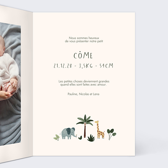 Faire-part Naissance Petite Jungle