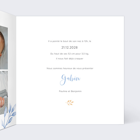 Faire part naissance Bleuet Intérieur Droit