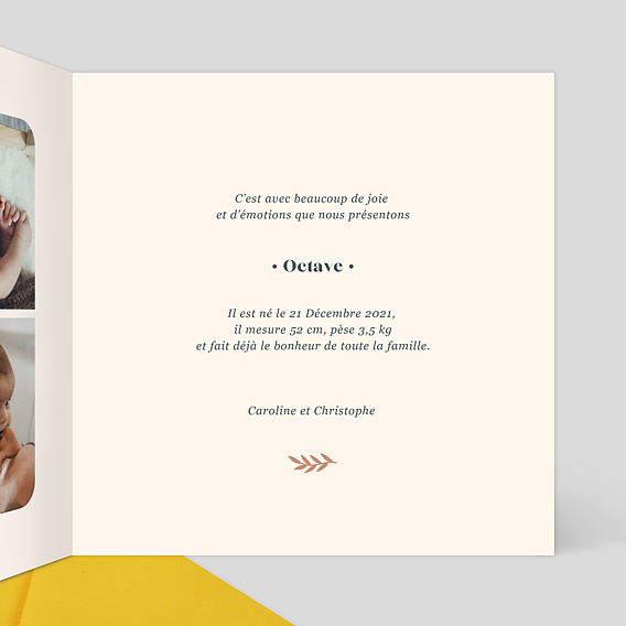 Faire part naissance Certificat Mésange Intérieur Droit