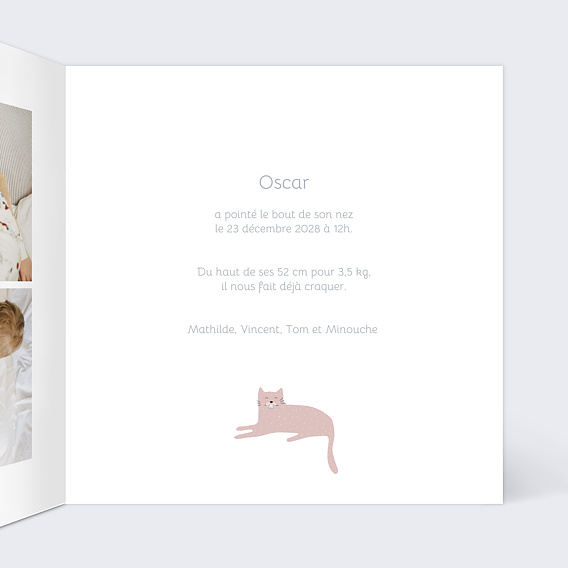 Faire part naissance Couronne de Chats Intérieur Droit