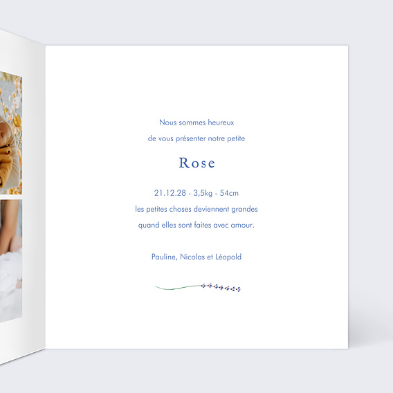 Faire part naissance Couronne Minimaliste Intérieur Droit