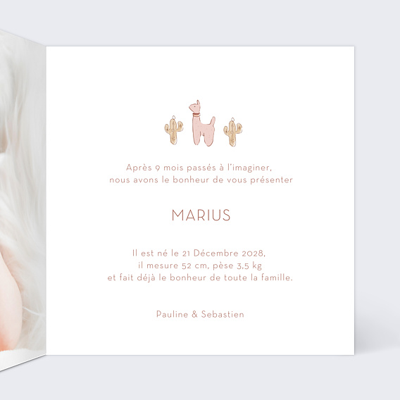 Faire part naissance Mobile Intérieur Droit