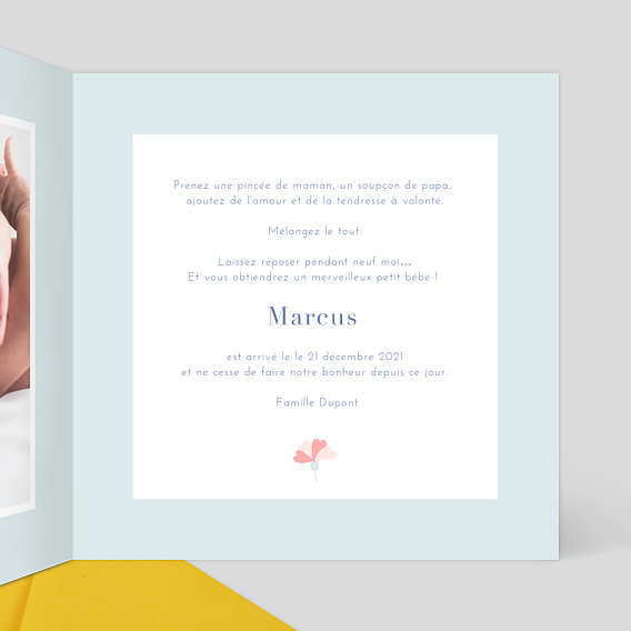 Faire part naissance Oisillons Intérieur Droit