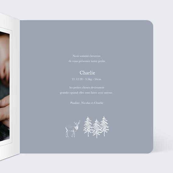 Faire part naissance Pattern Hiver Intérieur Droit