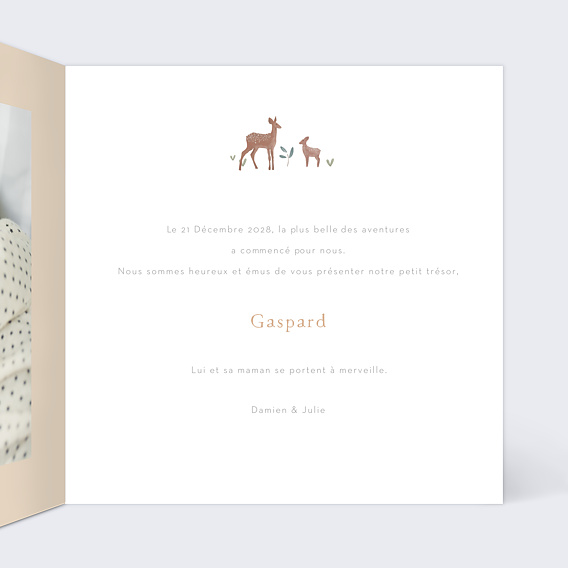 Faire part naissance Petite Prairie Intérieur Droit