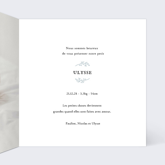 Faire part naissance Photo Brindille Intérieur Droit