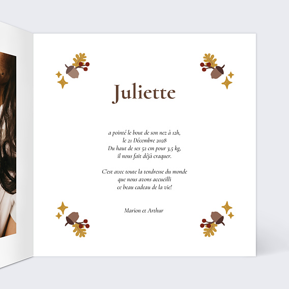 Faire part naissance Picto forêt Intérieur Droit