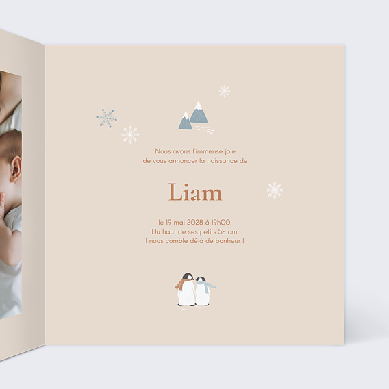 Faire part naissance Pingouin Intérieur Droit
