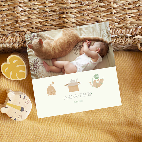 Faire part naissance Chaton Mignon Après 1