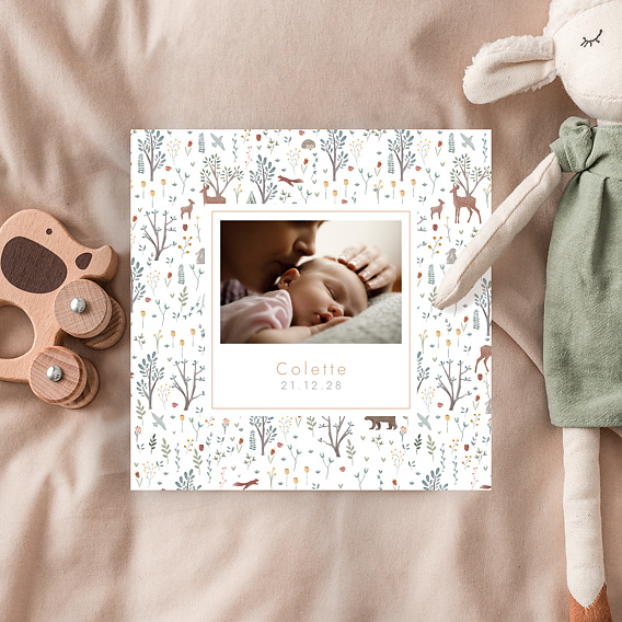 Faire part naissance Printemps Photo Après 4