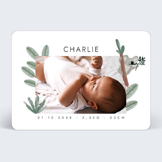 Faire-part Naissance Koala Mignon