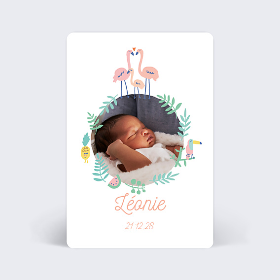 Faire-part Naissance Flamants Roses