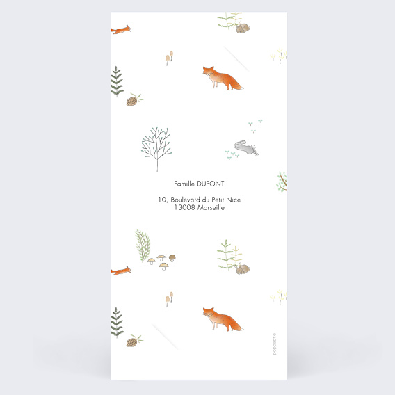 Faire part naissance Couronne renard Verso