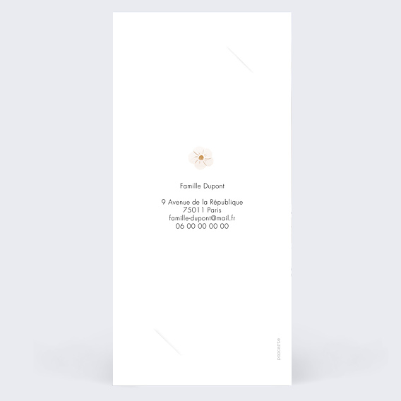 Faire part naissance Frise Fleurie Verso