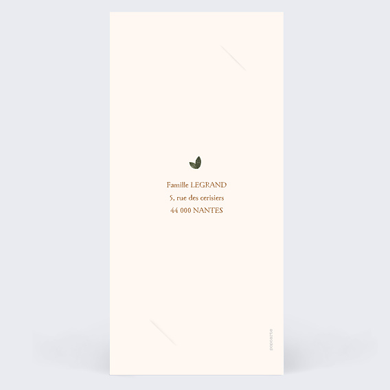 Faire part naissance Lion picto Verso