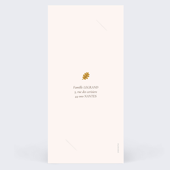 Faire part naissance Renard picto Verso