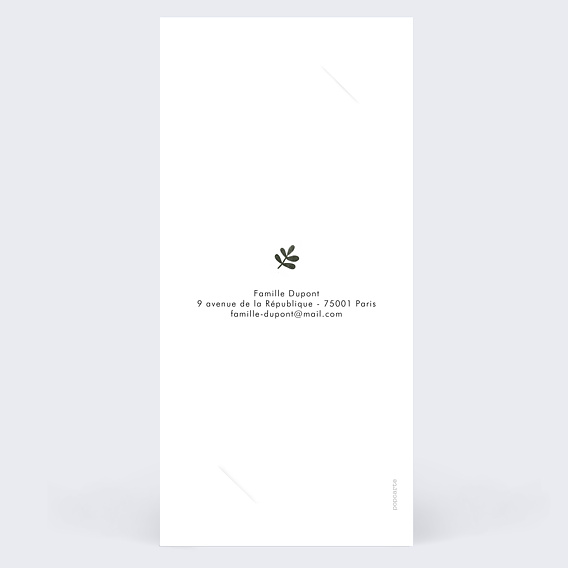 Faire part naissance Pictos savane Verso