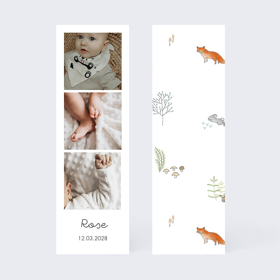 Faire part naissance Couronne renard