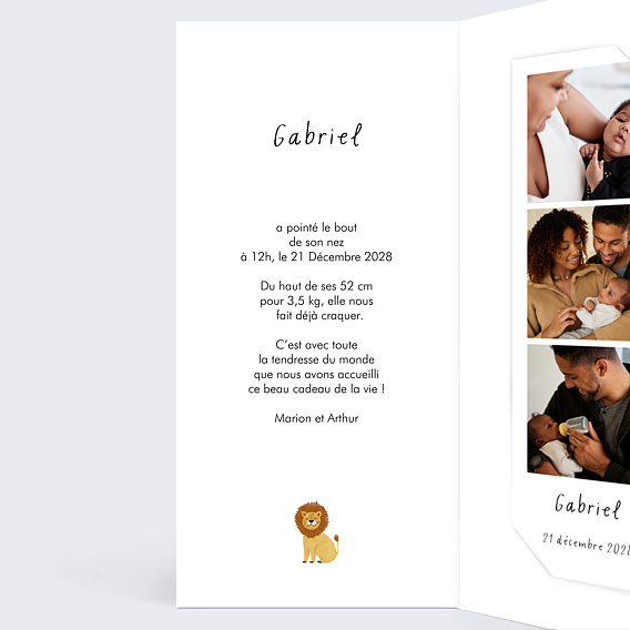 Faire part naissance Pictos savane Intérieur Gauche