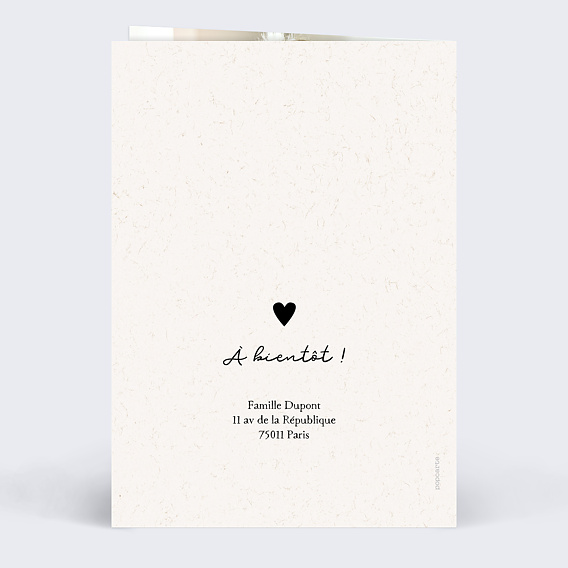 Faire part naissance Mon petit frère Verso