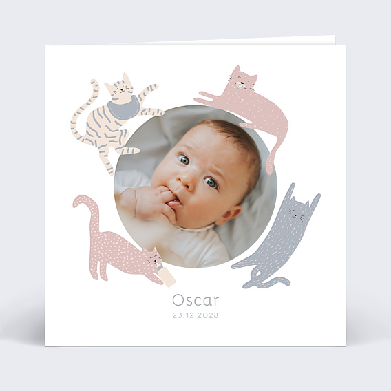 Faire-part Naissance Couronne de Chats