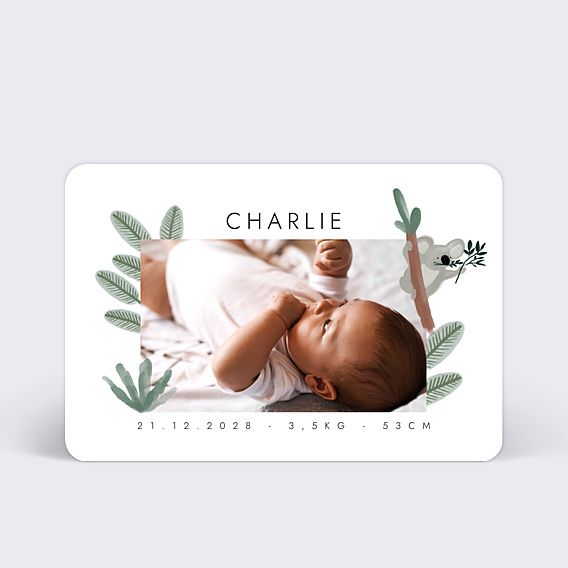 Faire-part Naissance Koala Mignon