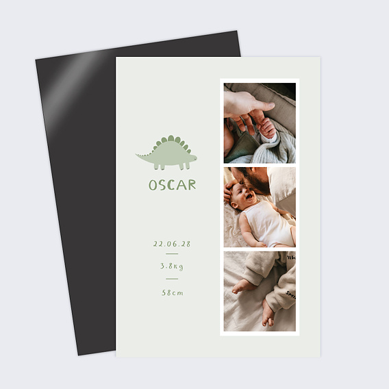 Faire part naissance Petit Dinosaure
