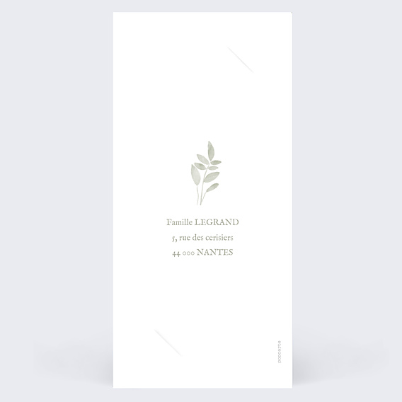 Faire-part Naissance Jolis brins