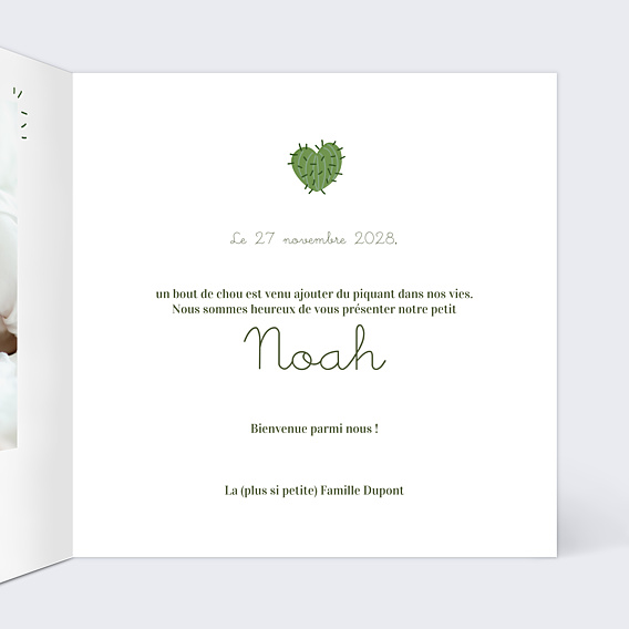 Faire-part Naissance Famille Cactus