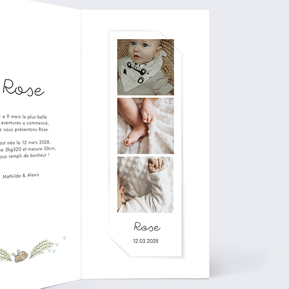 Faire-part Naissance Couronne renard