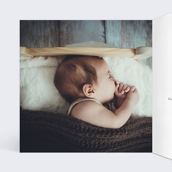 Faire part naissance Couronne Renardeau Intérieur Gauche