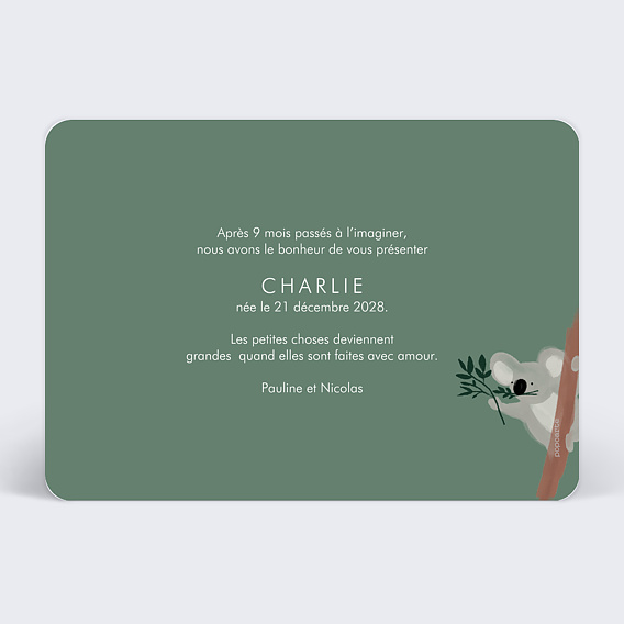 Faire part naissance Koala Mignon Verso