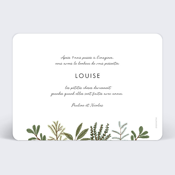 Faire part naissance Lapin de la forêt Verso