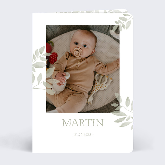 Faire part naissance Jolis brins