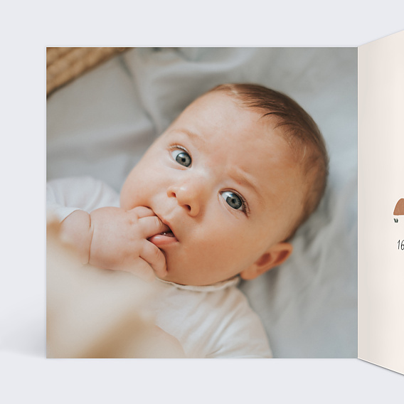 Faire part naissance Petit Lion Intérieur Gauche