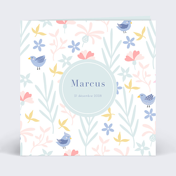 Faire-part Naissance Oisillons