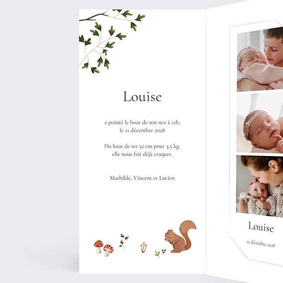 Faire-part Naissance Forêt Enchantée