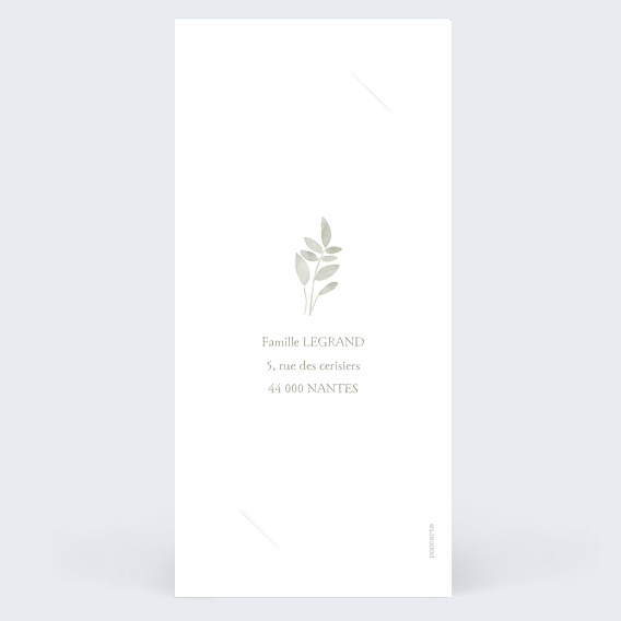 Faire part naissance Jolis brins Verso