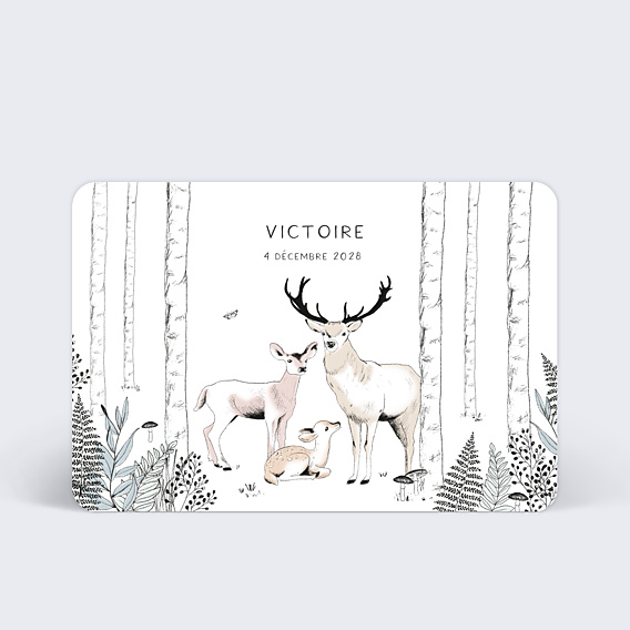 Faire part naissance Animaux de la Forêt