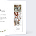 Faire-part Naissance Couronne renard
