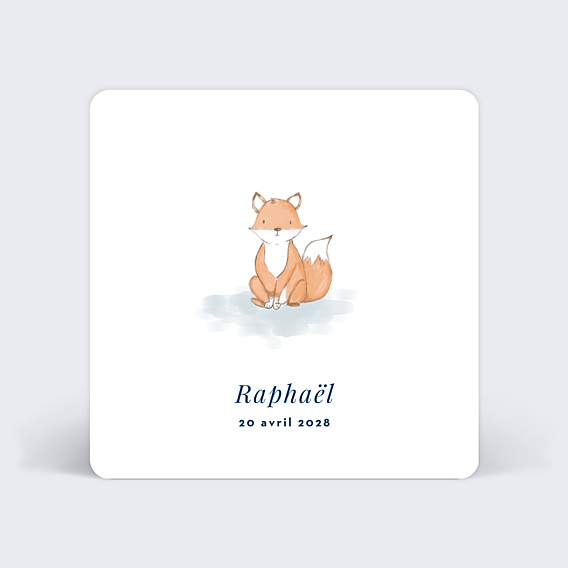 Faire part naissance Baby Fox