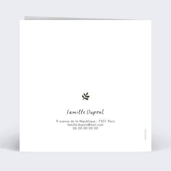 Faire part naissance Pictos savane Verso