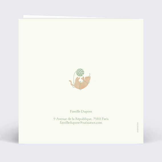 Faire part naissance Chaton Mignon Verso