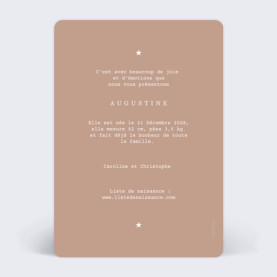 Faire-part Naissance Montgolfière Terracotta