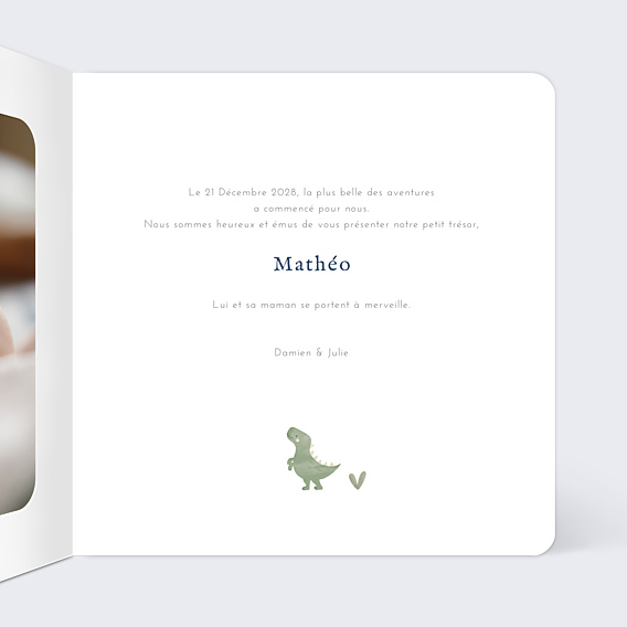 Faire-part Naissance Dinosaures