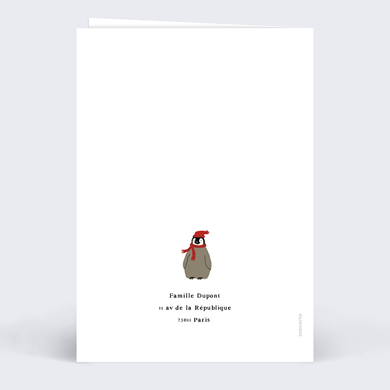 Faire part naissance Famille Pingouin Verso
