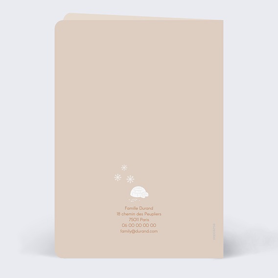 Faire part naissance Motif hivernal Verso