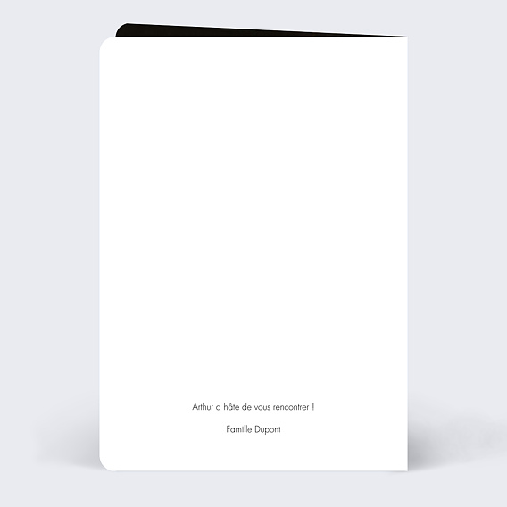 Faire part naissance Multi photo Original Verso